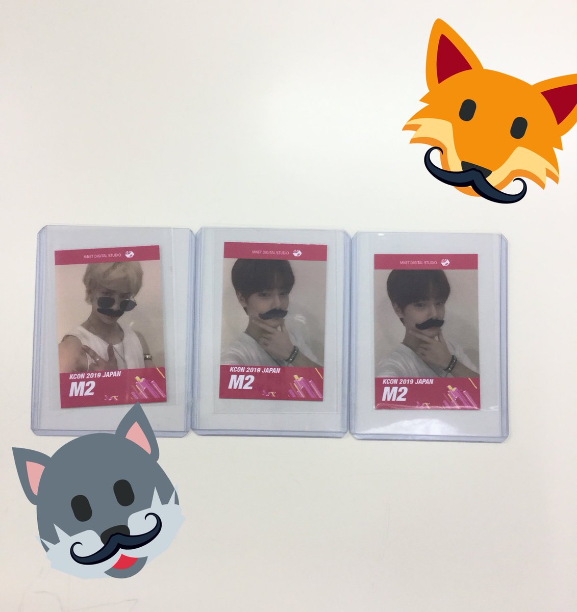 爆買い安い Stray IN KCON 2019 M2 チェキ トレカ DPQo8-m48294308727