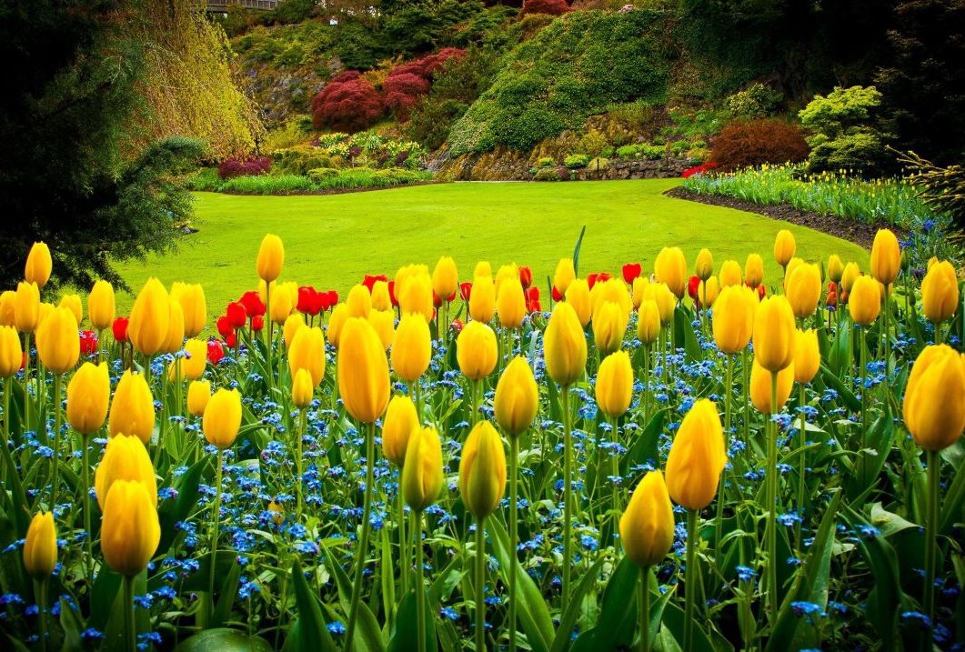 ✍
When you find the love you've been looking for on the inside,the magic begins. 

#zeynab #nature #life #Flowers