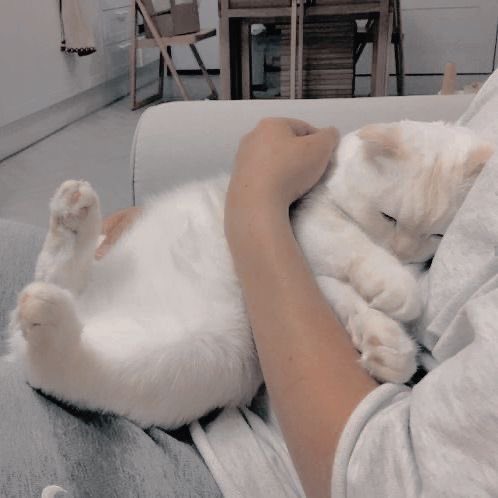 หลังจากนี้ขออย่างเดียว น้องแจยอนอย่าเพิ่งท้อที่จะเป็นนักแสดงนะลูก หนูมีศักยภาพ หนูเก่ง สักวันมันต้องเป็นวันของหนู