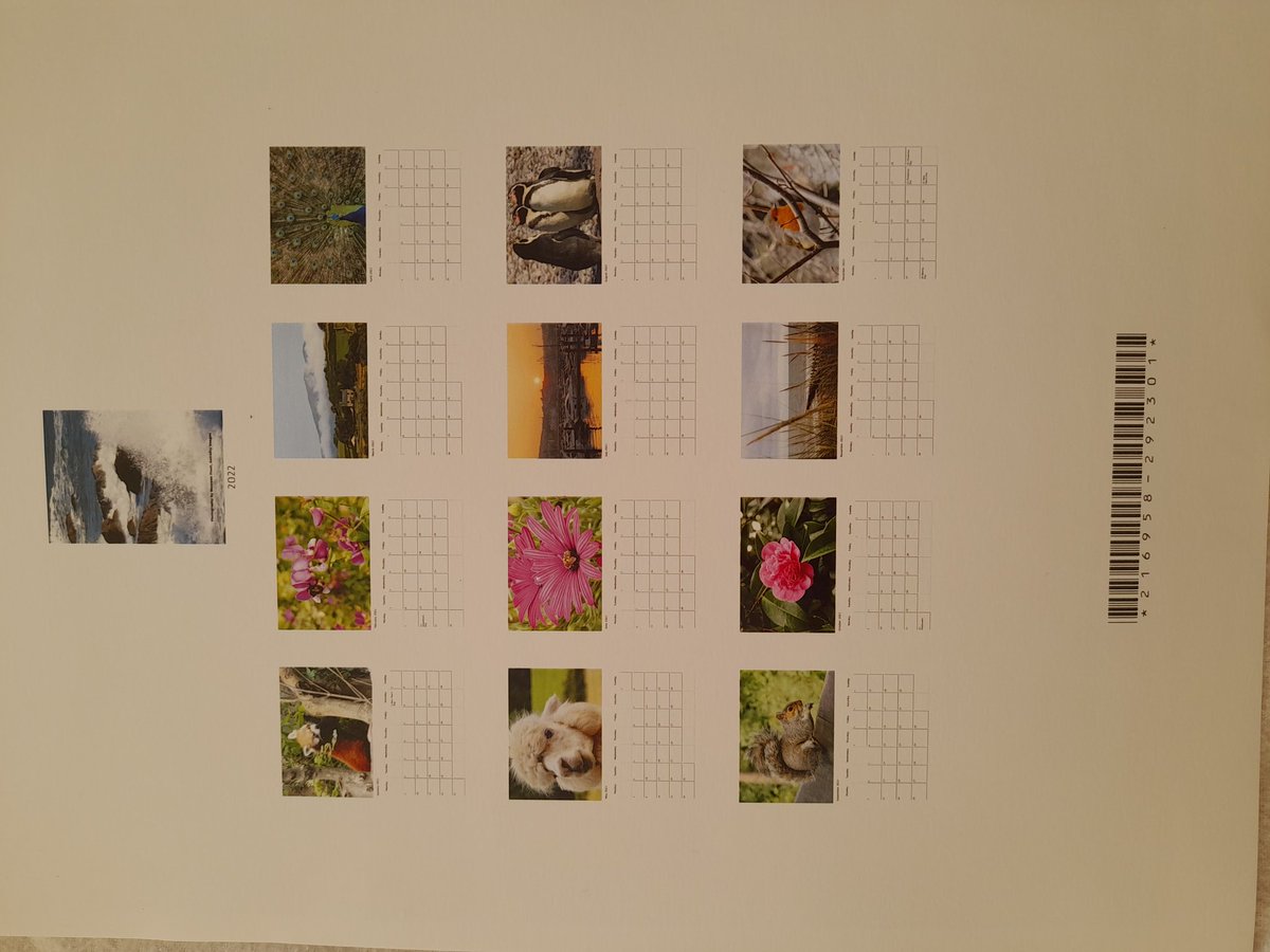 Really pleased with this year's calendars.  Ifyou are looking for presents we do mounted photographic prints, see our gallery at astralitybusinessservices.co.uk/photography.ht…
#photographs #giftideas #mountedprints