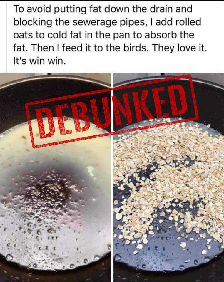 ⚠ Please do not follow advice telling you to feed leftover cooking fat to birds. The grease from cooking fat can damage the waterproofing qualities of their feathers. Instead stick to pure fats like lard and suet to give birds the nutrients to survive the cold winter months