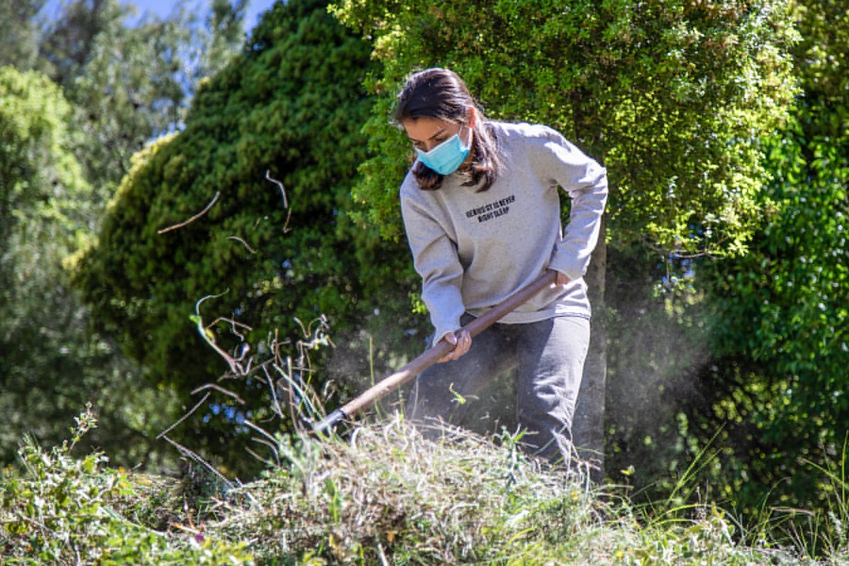UNDP_Lebanon's tweet photo. #ClimateChange is already threatening 🇱🇧’s natural resources.
Preserving 🇱🇧’s forest cover & its biodiversity thru #sustainable #ForestManagement activities helps balance economic & #EnvironmentalRecovery.
More still needs to be done, join us in #BuildingLebanonForward https://t.co/Ros58XWlEt