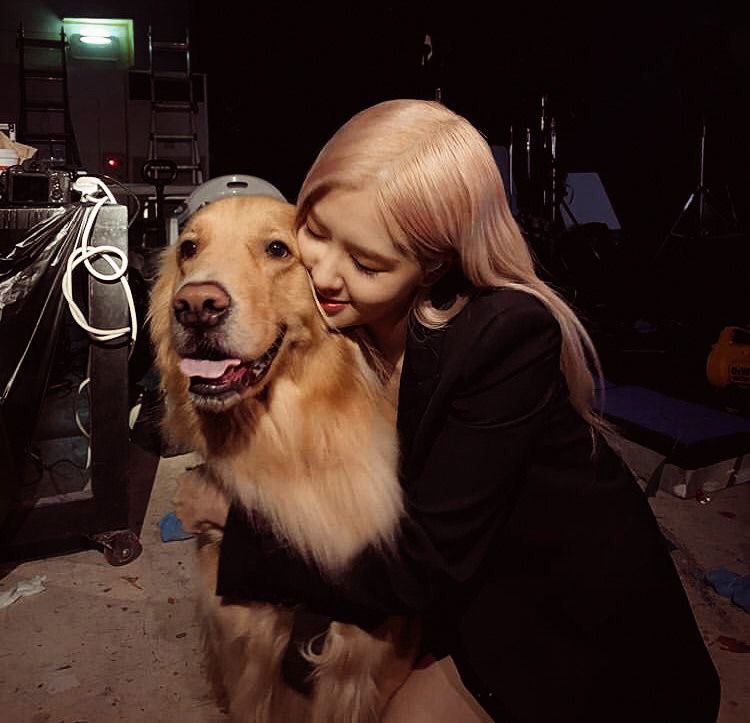 Những lời yêu đều là giả dối thôi sao🥲
I vote #MAMAVOTE   #rosé