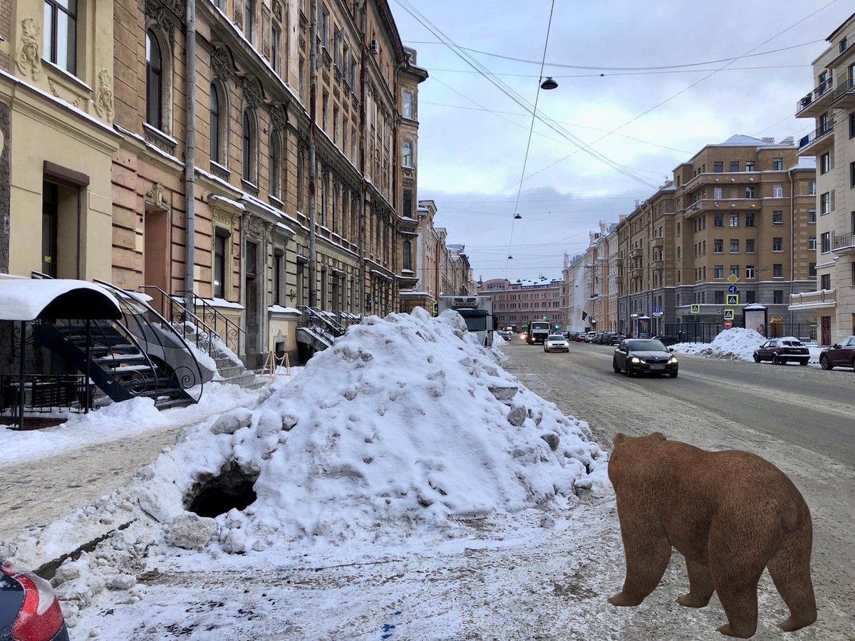 Питерский сугроб Мем