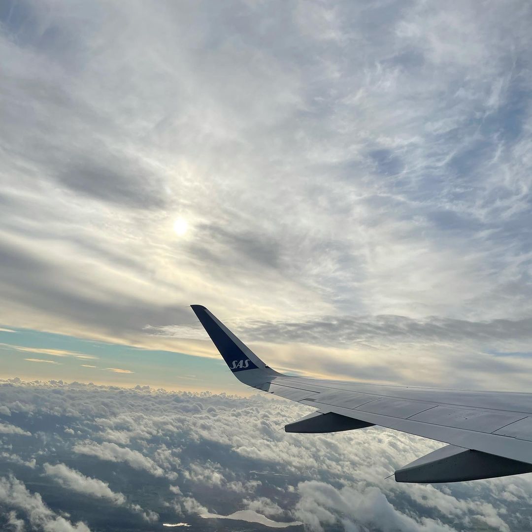 VioletttB's tweet photo. TIme to fly💙 https://t.co/Hw4lkUQDNi