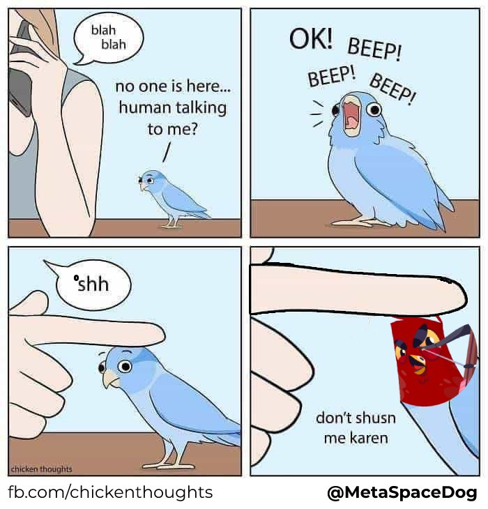 MetaSpaceDog's tweet photo. Don't mess with the @PigeonzNFT, Karen. https://t.co/hd0snGUdo1