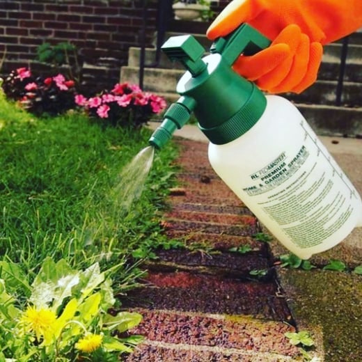 rXeProfessional's tweet photo. Nature is exceptional when maintained, lets live paradise on earth. Evergreen healthy environment is what we offer. Avoid dangerous species inhabiting your gardens. Keep family and friends safe by giving us a call... 📞

#professionalgardeners
#landscaping
#ReNewYourLook
#Pros https://t.co/kVdNvRcBUW