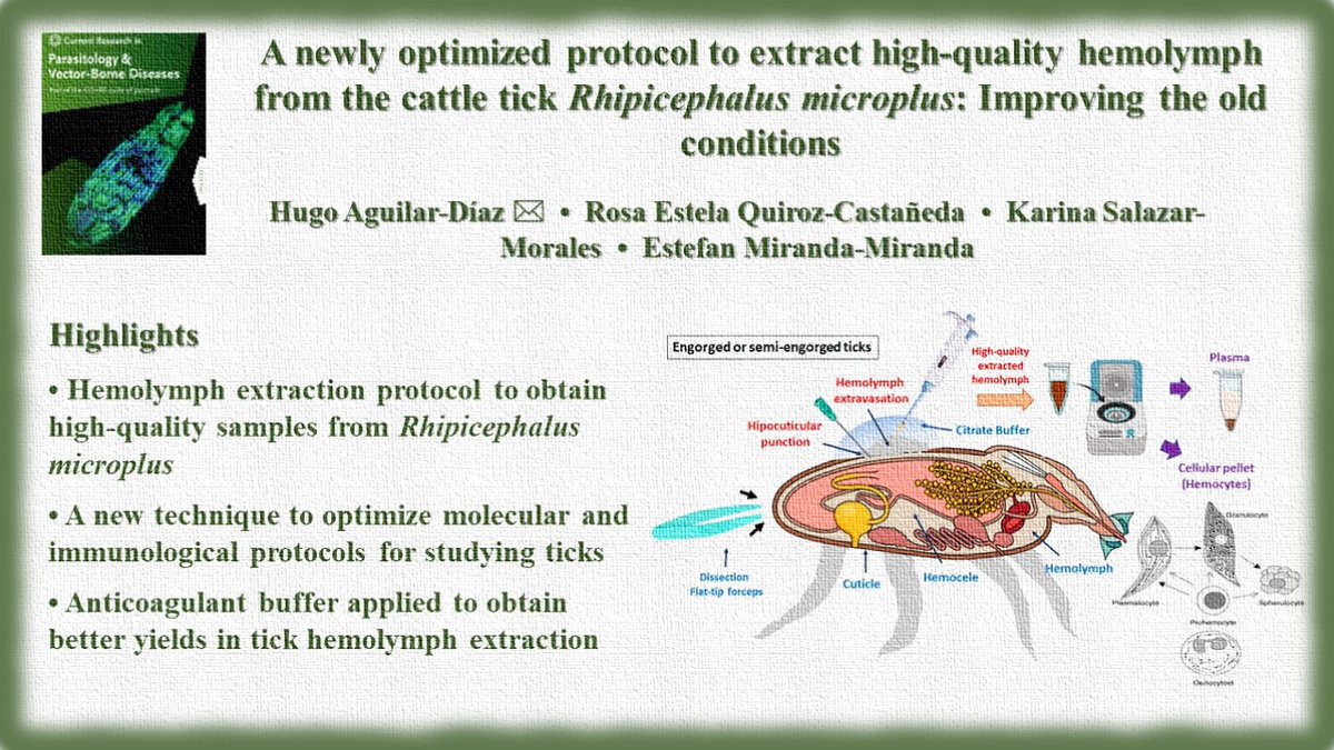 AnetKostadinova's tweet photo. Now in press in CR in Parasitology & Vector-Borne Diseases @CRPVBD
https://t.co/EQ31dn1IZH
@ParasitologyELS @AnetKostadinova
#ticks #hemolymph extraction #hemocytes #high-quality hemolymph https://t.co/U8zJMbZhSV