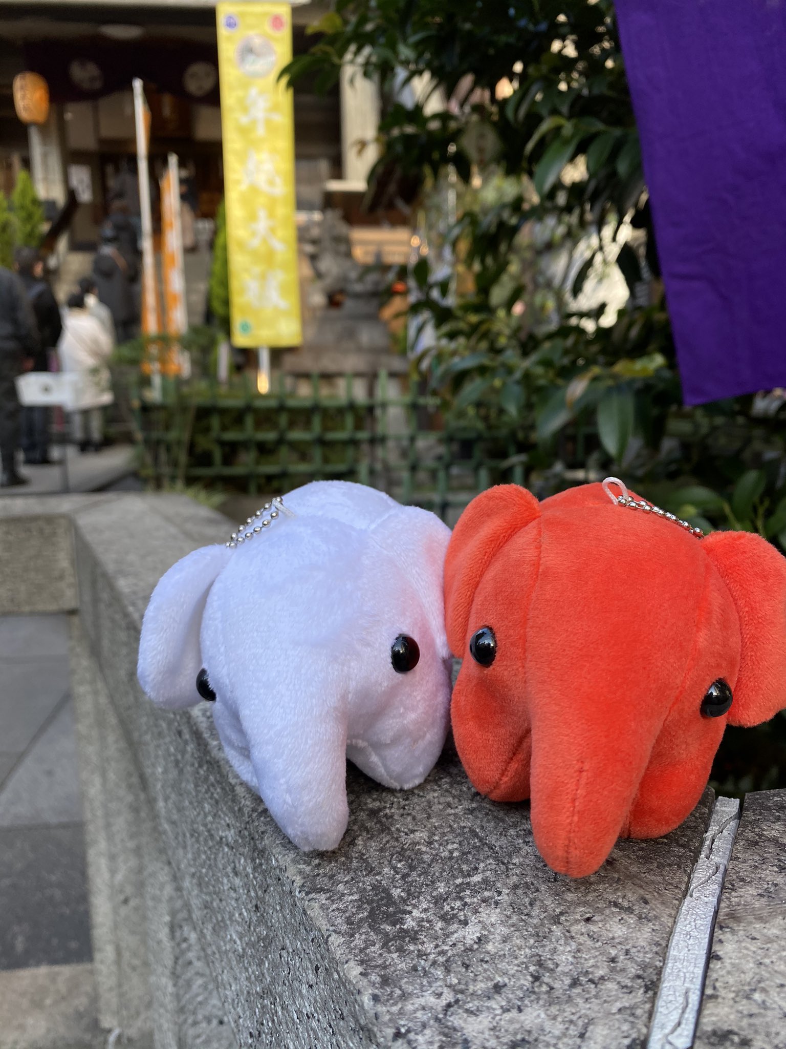 ドムドムハンバーガー 2022 福袋 どむぞうくん 白 ぬいぐるみ マスコット ドムドムハンバーガー 2022 福袋 どむぞうくん 白 ぬいぐるみ