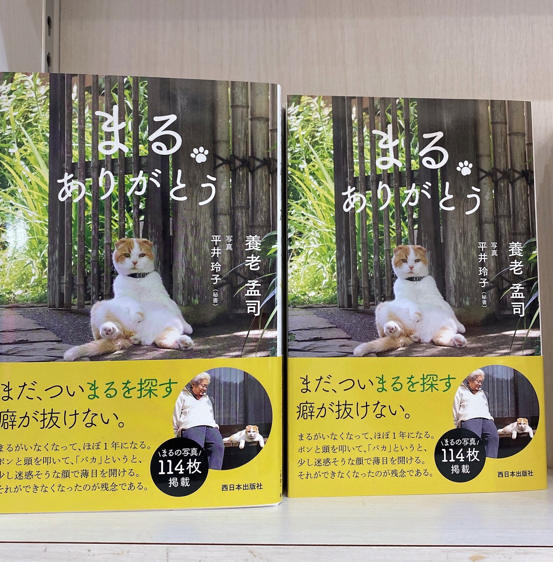 田村書店千里中央店 神奈川 鎌倉に暮らす養老孟司先生と愛猫まるとの日々を綴った まる ありがとう が発売中です 昨年１２月に亡くなった愛猫まるとの出会いや日常を養老先生が語りつくしています まるの写真１１４枚も掲載されています T