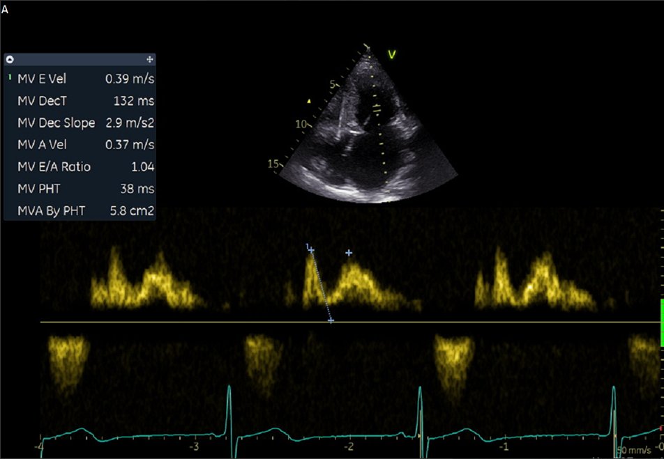 Stathis Papatheodorou tweet media