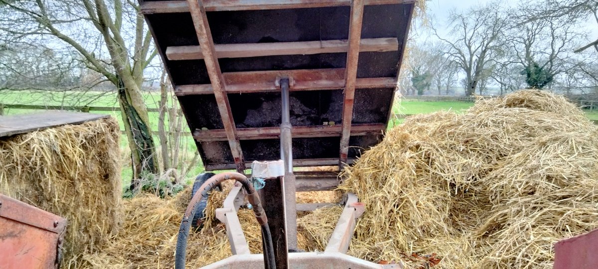 StudGrove's tweet photo. as easy as that with @tunnel_tech we get fast and efficient muck collection service. So i can keep on tipping https://t.co/8BFBh2chC7
