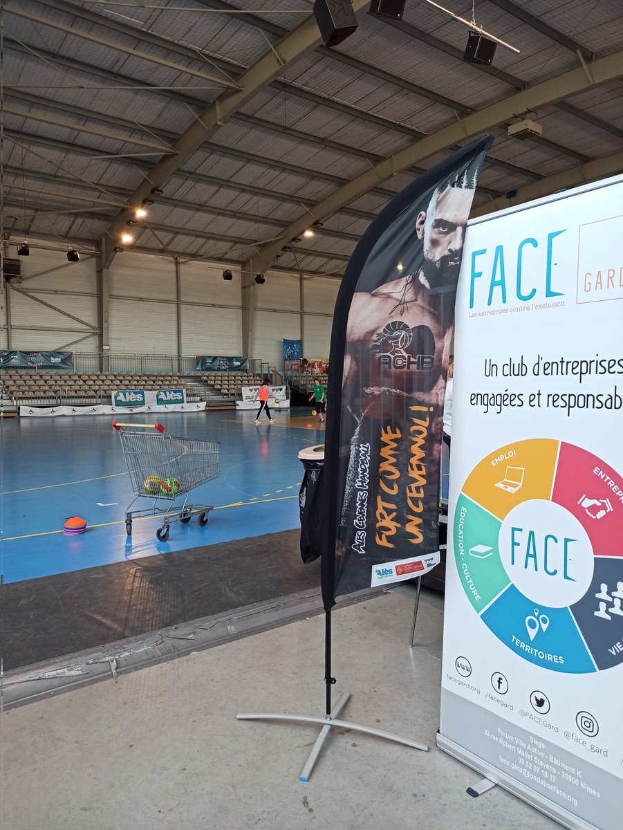 FACENERGIE Sport en direct. Version allégée et adaptée mais avec 15 collaborateur.trice.s présent.e.s et 14 demandeurs d'emploi mobilisés.