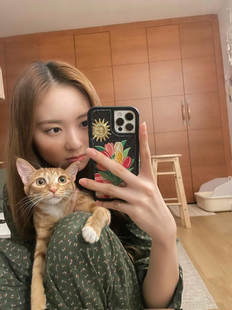 MayCBNEWS's tweet photo. [📷] Atualização da May no WeVerse:

"Natto é amor ❤️

(no quarto da Haeyoon)
(o pijama que a Jiwonnie unnie me comprou)" 

#메이 #MAY #CherryBullet #체리블렛 @cherrybullet https://t.co/biB4qyhhix