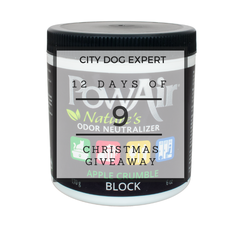 CityDogExpert's tweet photo. 12 Days of Christmas Giveaway- Day 9 Pow Air - https://t.co/E7eC5OrpSw https://t.co/aSdc1xVRkR