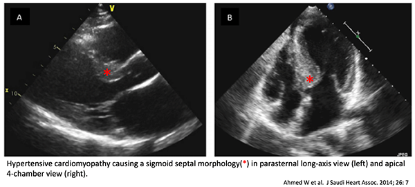 𝙟𝙤𝙨𝙝 𝙛𝙖𝙧𝙠𝙖𝙨 💊 tweet media