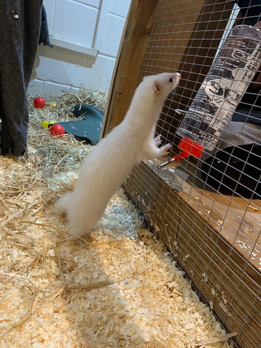 TMC Animal Care Dept tweet media