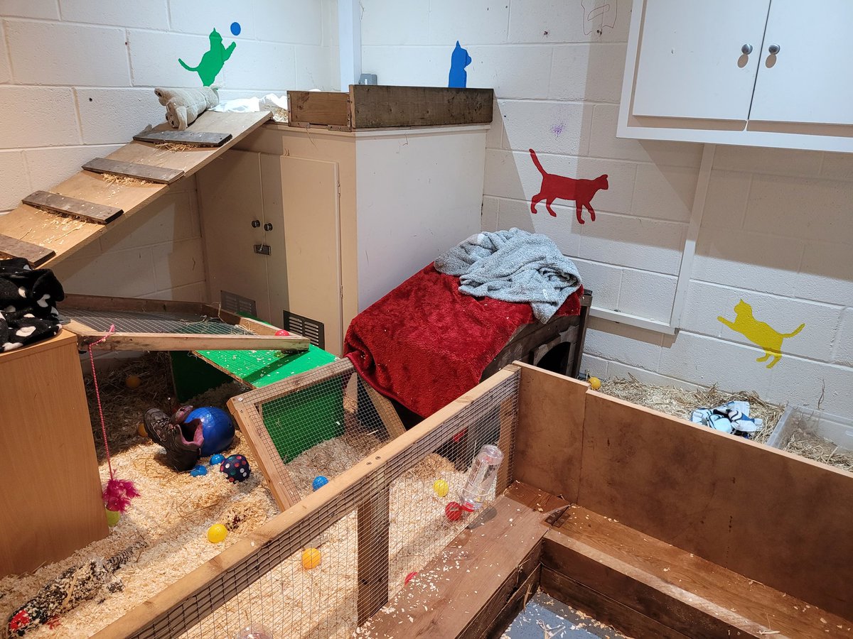 TMC Animal Care Dept tweet media