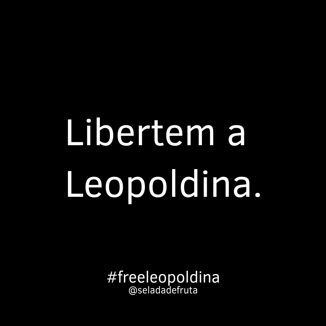seladadefruta's tweet photo. Bateu a saudade da Leopoldina.
Quem adere ao movimento #freeleopoldina ?
#continente #leopoldina #popota https://t.co/9W9ib3FxaH
