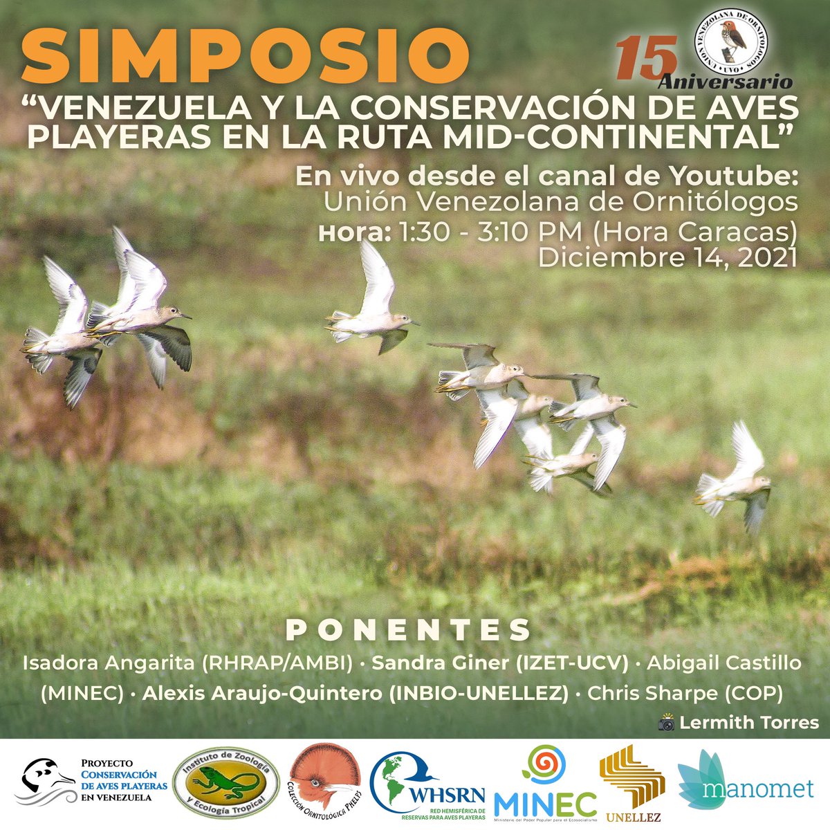 uvovenezuela's tweet photo. En marco del Congreso Virtual UVO, te invitamos a que participes con nosotros en el Simposio “Venezuela y la conservación de aves playeras en la ruta Mid-Continetal” y te unas a este esfuerzo internacional para la conservación de estas especies y sus hábitats. https://t.co/V9fulA0L9l