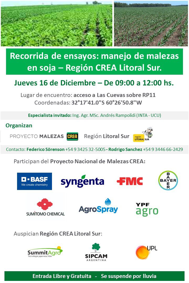 crealitoralsur's tweet photo. Te esperamos el jueves 16/12 en Las Cuevas, para recorrer uno de los ensayos de malezas 🌼de la zona y tener una actualización ✅respecto al manejo que estamos haciendo en la región. Es a las 09:00 hs. acá 👉 https://t.co/TXJ5Xg8tdb https://t.co/DoVnwIUKmc