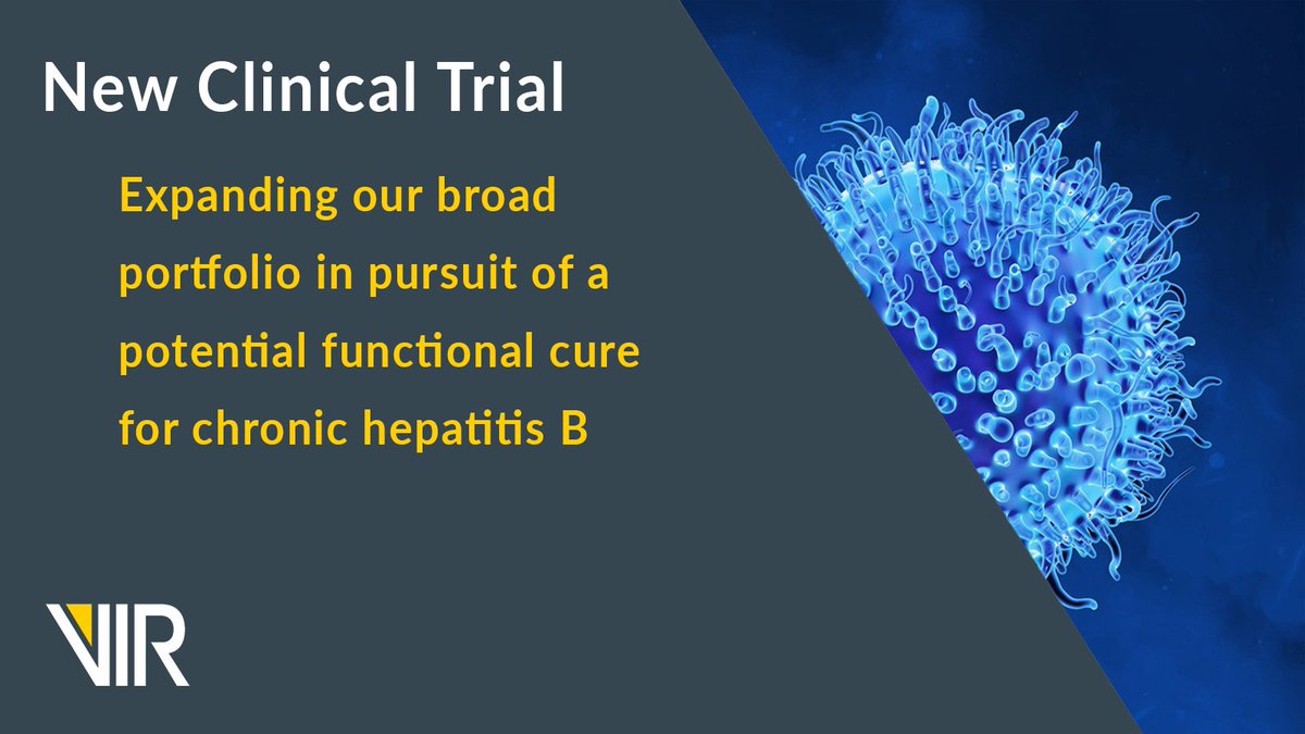 Vir_Biotech's tweet image. Pleased to announce the start of a new #HBV clinical trial evaluating a potential functional cure regimen that includes our investigational small interfering ribonucleic acid, @GileadSciences' investigational TLR-8 agonist and an approved PD-1 inhibitor. bit.ly/3IzEahn