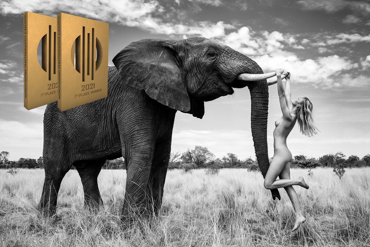 It has been a very good year for awards. 

photoawards.com/winner/zoom.ph…

monovisionsawards.com/winners-galler…

#nftcollectors #art #awards #12naturalwonders #photoart

Full NFT collections - 12 Natural Wonders series. #Africa #Brazil #Italy #Russia #Uk #Japan #Norway #Australia #GreatBarrierreef