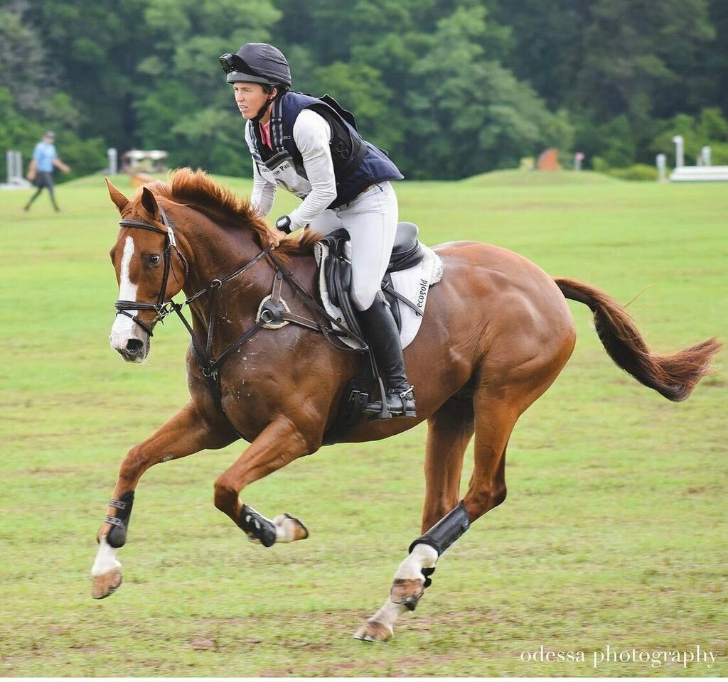 WallaceEventing's tweet photo. Love this picture of #SharpDecision looking fierce 🔥🔥 A big thank you to all of my sponsors for helping me and my horses perform our best. 

Check them out if your looking for the perfect Christmas present for that special someone. 
#sponsorpost
@buc… https://t.co/ccdR8sCcrJ https://t.co/E1soqhXa1M