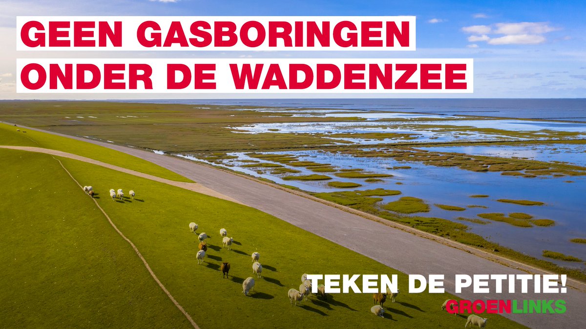 Vandaag debatteert de Tweede Kamer over gasboringen onder de Waddenzee.

UNESCO gaat dit unieke natuurgebied mogelijk van de Werelderfgoedlijst afhalen omdat het kabinet nieuwe gasboringen toe wil staan. 😶

Dat mag niet gebeuren. Teken de petitie!

👉 groen.li/tw/waddenzee