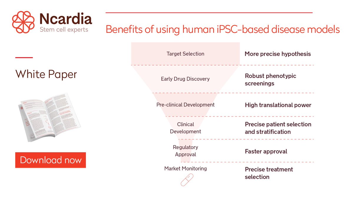 🧐How can iPSC-derived disease models improve #DrugDiscovery?

Explore the benefits, applications & key considerations of using #DiseaseModels based on #hiPSC technology in our latest white paper. 

Download now at ow.ly/LPV650H26pQ

 #stemcell #drugresearch #pharmanews