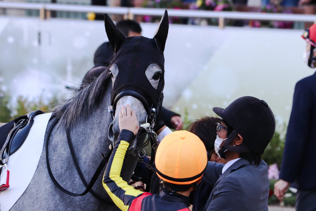 majesty_bio's tweet photo. 2021/12/05　中山6R・2歳1勝クラス

ナデナデナデナデ
ナデナデナデナデ

#アイヴォリードレス
#菊沢一樹
#菊沢隆徳厩舎 https://t.co/2yBa5N4W7C