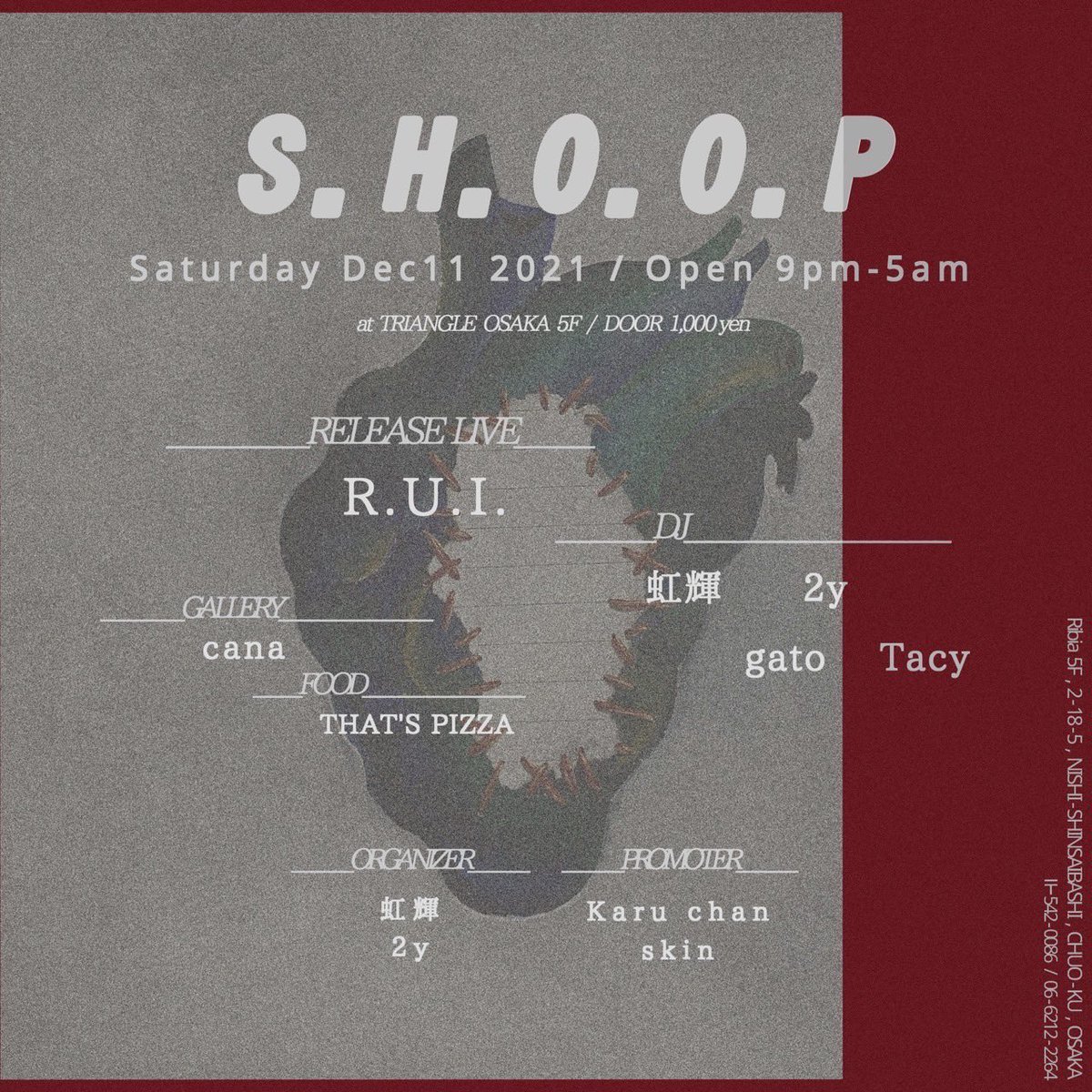 ライブさせてもらいます🎤