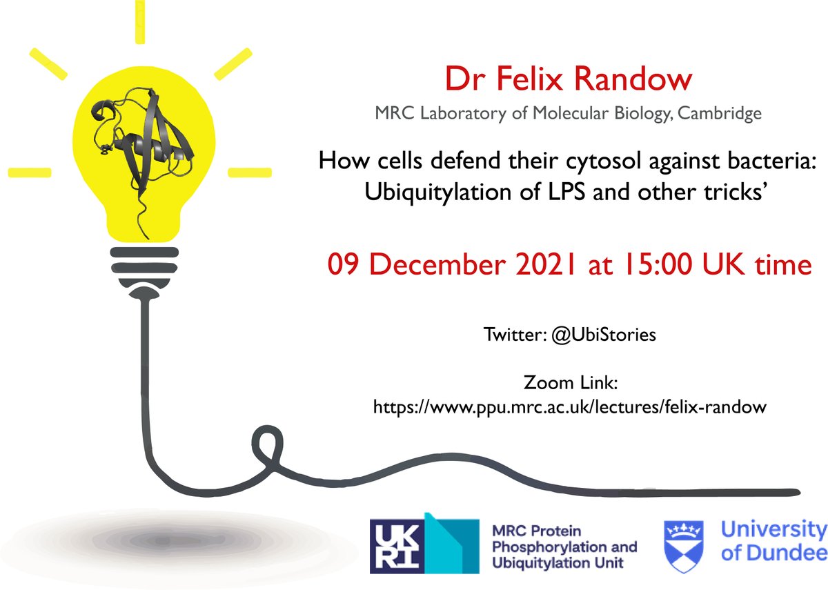 Reminder - TODAY 15:00 pm (UK Time): Non-canonical ubiquitylation seminar series <a href="/FelixRandow/">Felix Randow</a> <a href="/mrcppu/">MRC PPU</a>. Zoom link: ppu.mrc.ac.uk/lectures/felix…  #ubiquitin #authophagy #bacteria  #seminar