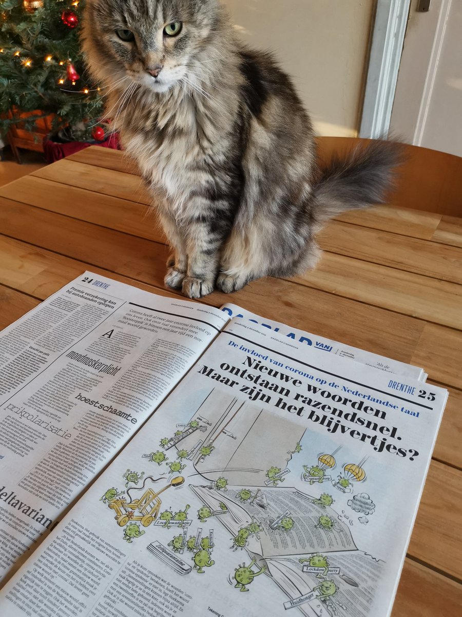 Coronamoe? Nog meer corona. Illustratie in <a href="/dvhn_nl/">Dagblad van het Noorden</a> bij artikel van @StefBekhuis over de invloed van corona op onze taal.