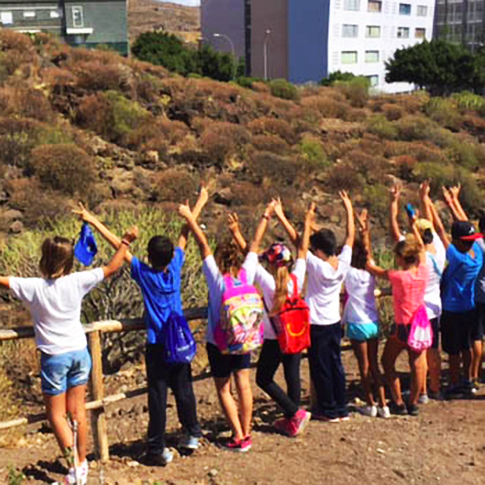 🌴¿Conoces el Barranco Urbano de Añaza #BUA, en #Tenerife? a través de #custodiaurbana🤝de Fund. Canaria el Buen Samaritano, <a href="/FundacionEndesa/">Fundación Endesa</a> y voluntariado, se ha generado un espacio de formación juvenil y sensibilización ambiental. 
+iniciativas👉bit.ly/3FLjpNn