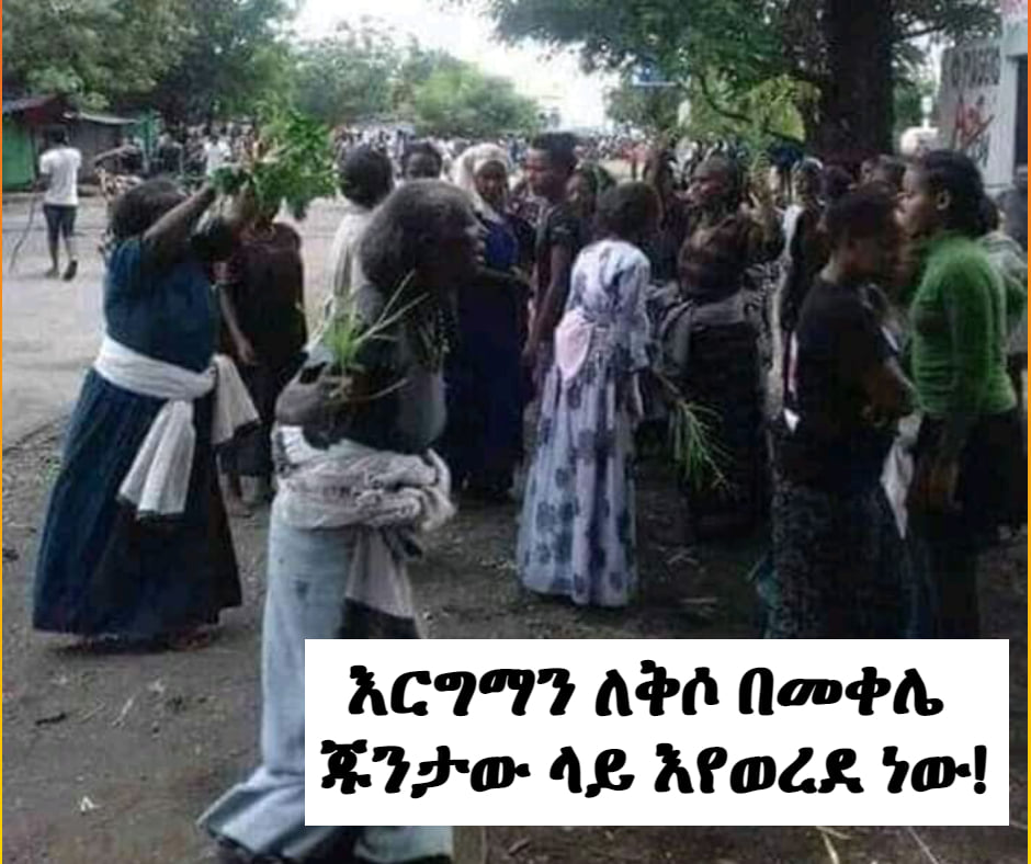 BikiltuMosisa1's tweet photo. 👉🌀#የትግራይ እናቶች ልጆቻችንን የት አደረሳችኋቸው እያሉ አሸባሪውን ህወሓት እየሞገቱ ነው! የሽብር ቡድኑ በትግራይ እናቶች ከፍተኛ የሕዝብ ቁጣ ተነስቶበታል‼ https://t.co/4MZ6aZQfmF
