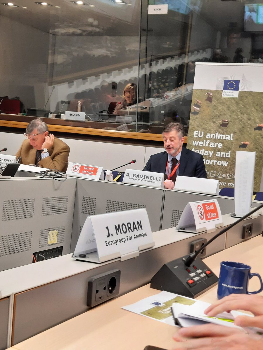 sara_turetta's tweet photo. Dalla consultazione europea online sul benessere animale emerge un dato oggettivo e preoccupante: i consumatori NON sono disponibili a spendere di più per compensare l'investimento sui prodotti in benessere animale.
#EU4AnimalWelfare
#EU4aw https://t.co/ZBYujnud9u