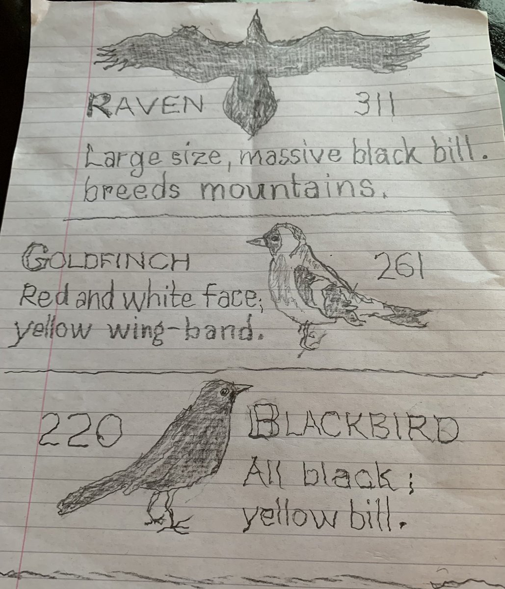 NHS Tayside Adult Acquired SLT tweet media