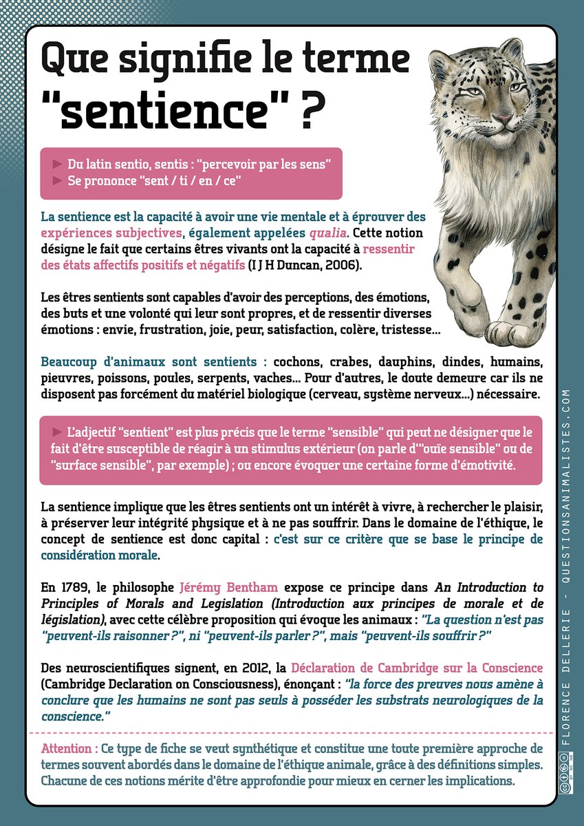 L Sti D Egan Fafouin Maddog Twitter L Sti D Egan Fafouin Maddog Twitter