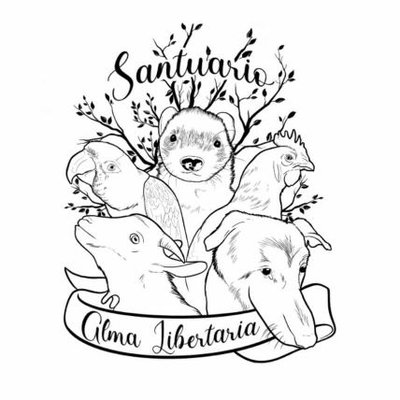 goteofunding's tweet photo. 🌿"No defendemos la naturaleza, somos la naturaleza defendiéndose"

🍃 Las compañeras de @almasantuario defienden a diario un refugio donde más de 100 animales de diferentes especies han logrado sobrevivir a las situaciones más adversas

🐰 Apóyalas en https://t.co/dFslYtMKpr https://t.co/uaqtg4HIiH