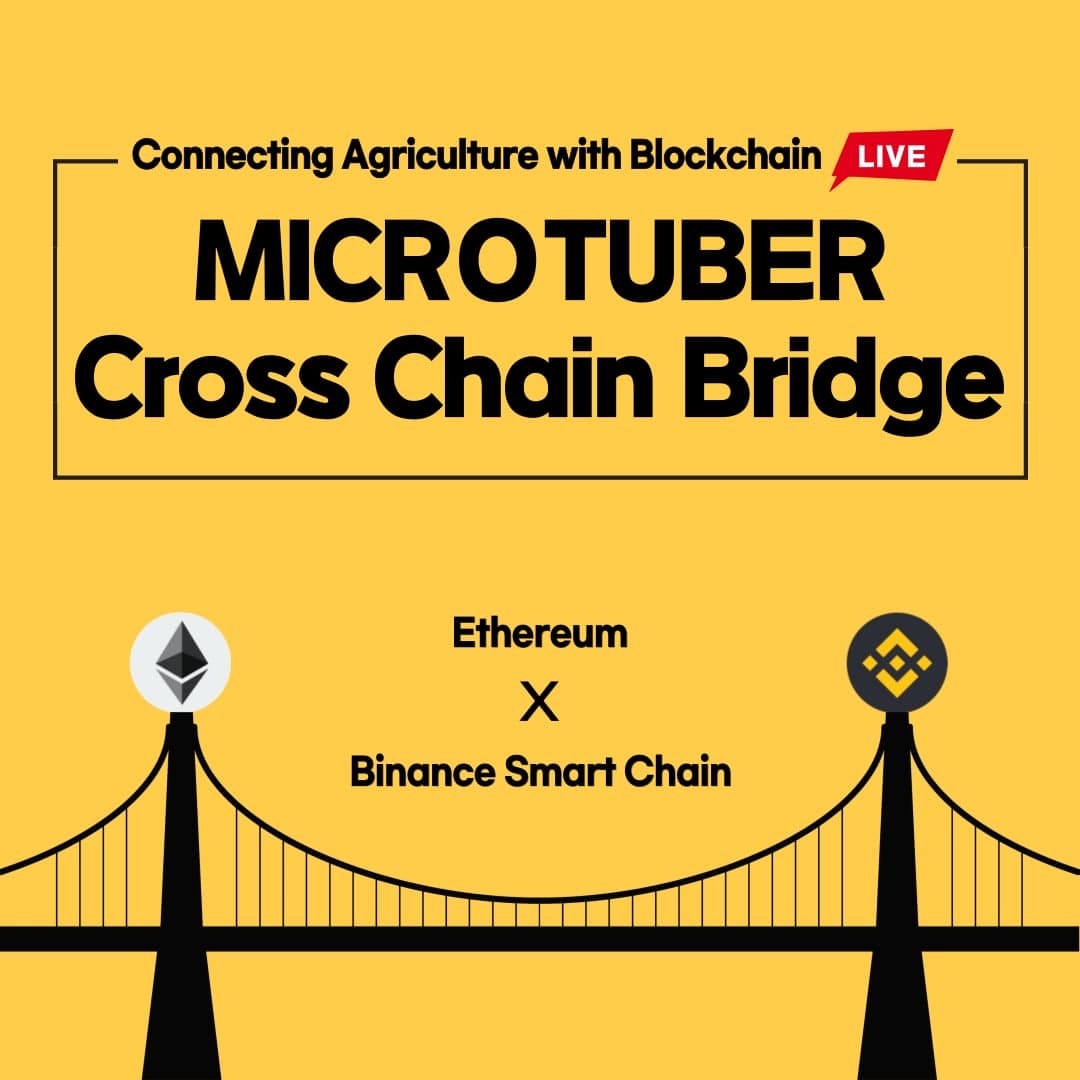 MCT Cross-Chain Bridge is LIVE
bridge.microtuber.io

Medium: microtuber.medium.com/mct-cross-chai…

#microtuber #mct #blockchain #agricultureblockchain #마이크로투버 #crosschainbridge #crosschain #multichain #erc20 #bep20 #bsc #crypto #defi