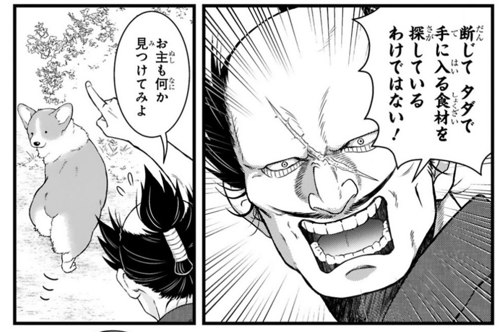 ✨本日更新✨ コワモテな殿とほがらかな犬の 天下泰平主従暮らし🍵 『殿と犬』西田理英 comic-polaris.jp/tonotoinu/ 今回は、山での殿と犬のお話。 食材探しは真剣勝負! おや、犬も何かを見つけたようで…⁉️ ⏩アンケートや感想ツイート(#殿と犬)もお待ちしています🐶🐾