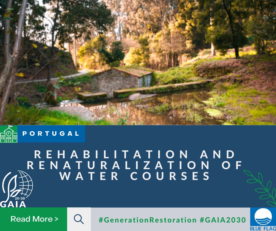 Blue Flag tweet media