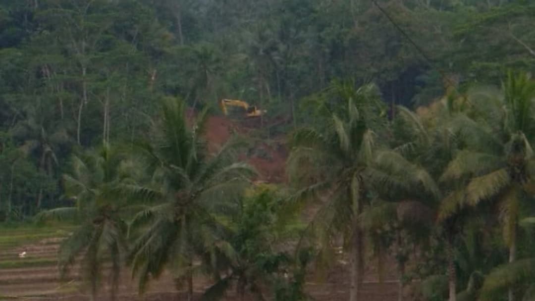 Wadas_Melawan's tweet photo. Beginilah kelakuan orang-orang yang rakus dan dzolim, alam yang begitu indah dan subur mereka hancurkan dan rusak. Tumbuh-tumbuhan yang hijau dan menjulang tinggi mereka tebangi, semua diratakan dengan tanah. 

#SaveWadas
#WadasMelawan
#WadasOraDidol
#WadasTolakTambang https://t.co/TNNTgzbTnx