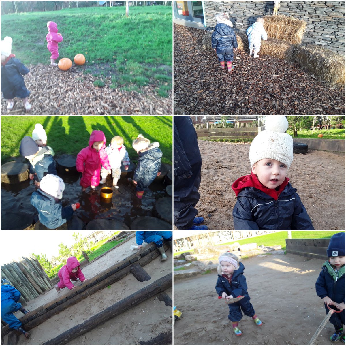AshbridgeMaxy's tweet photo. Poppies exploring grassy hills, hay bales, muddy puddles and the sandcastle outside today! #poppiesatmaxy #poppies #exploringtextures #funoutside https://t.co/4yOsoM2oXU