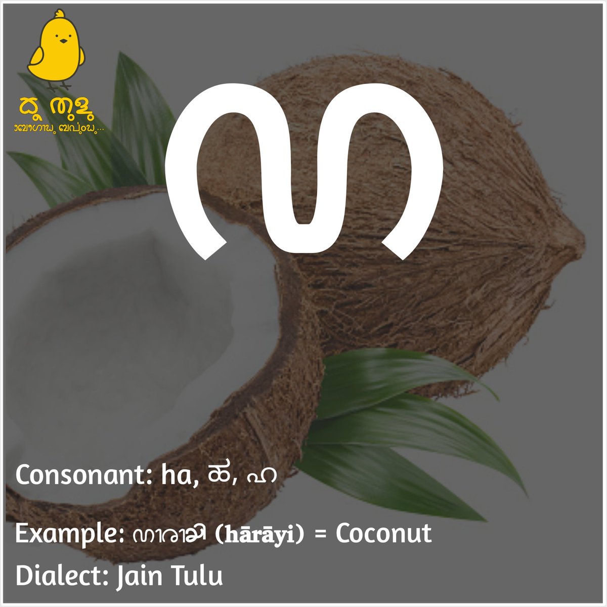 KooTulu's tweet image. Consonant: ha, ಹ, ഹ

#TuluBaravu
#ReviveTuluScript