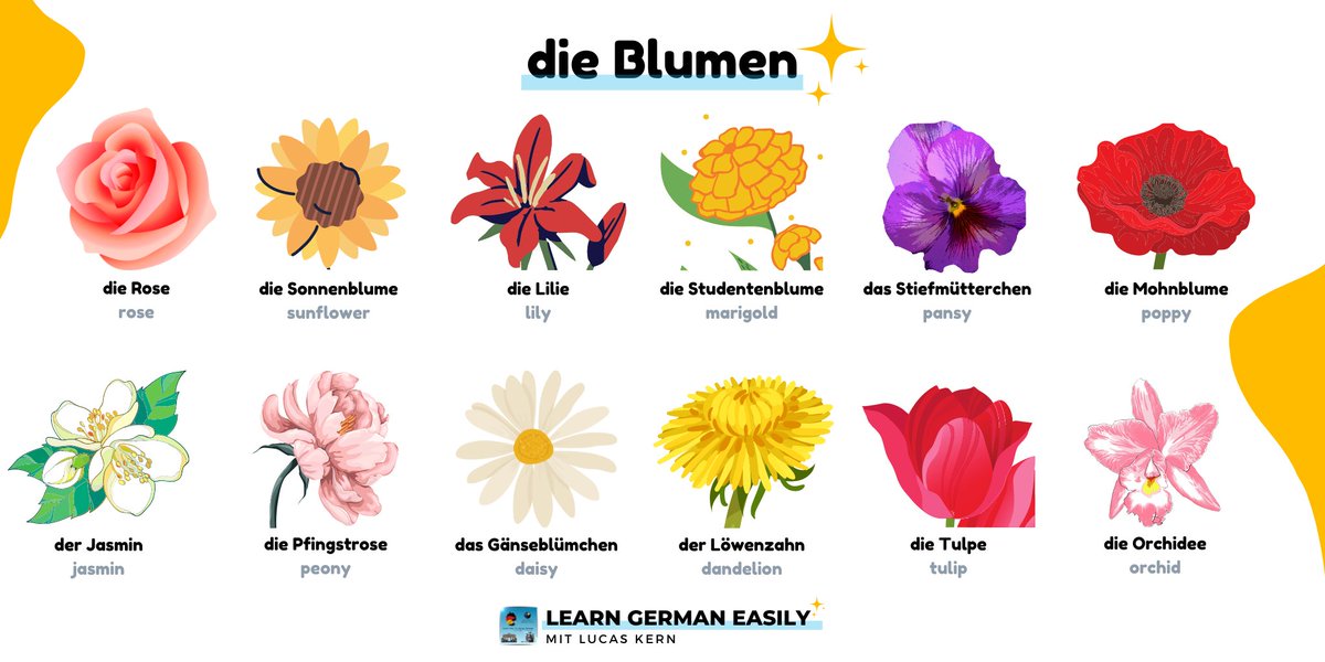 LearnXDGerman's tweet photo. 🇩🇪 die Blumen 🌼🌷🌹🌻
Learn a few German words today! This time we have flowers! Did you know these in German? Which one is your favorite? 😉
#germanblog #learninggerman #a1german #deutschesprache https://t.co/OPVZZl3ZzE