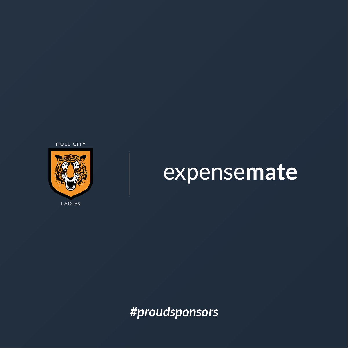 expensemate's tweet photo. We're delighted to announce our new partnership with @hullcitylfc. Look out for the Expensemate logo pitchside at home games. Good luck with the rest of the season! #tigressway https://t.co/K989SUWHfQ