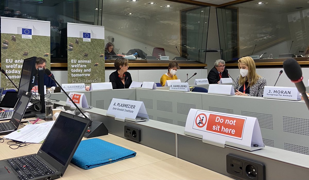 LivestockVoice's tweet photo. Tamas Eder from #Clitravi starts panel on #AnimalWelfare labelling saying;
‘We need to repeat that in 🇪🇺 we have v. high standards. Revision of legislation should start from there, not from a basis that everything is terrible’  #MeattheFacts #Time4AW https://t.co/SUFY4pcDAh