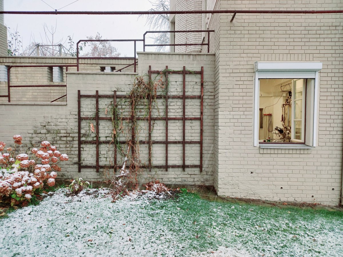 nanosurflab's tweet photo. It's snowing at the lab #LTSTM โ๏ธ https://t.co/RtQ2vZCPe7